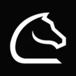 Chessnut Logo