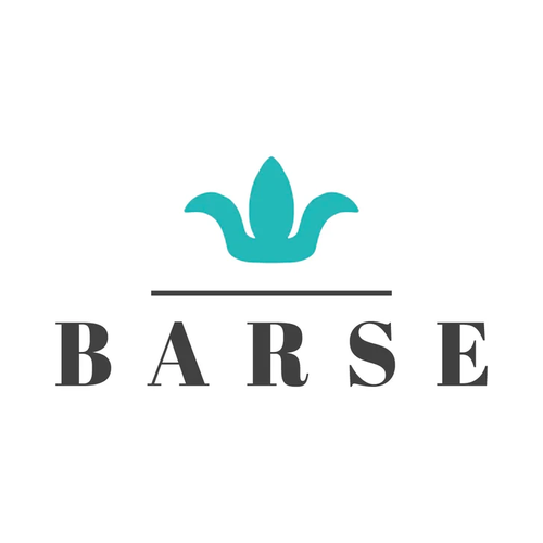 Barse Jewelry Logo