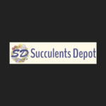 Succulents Depot Logo
