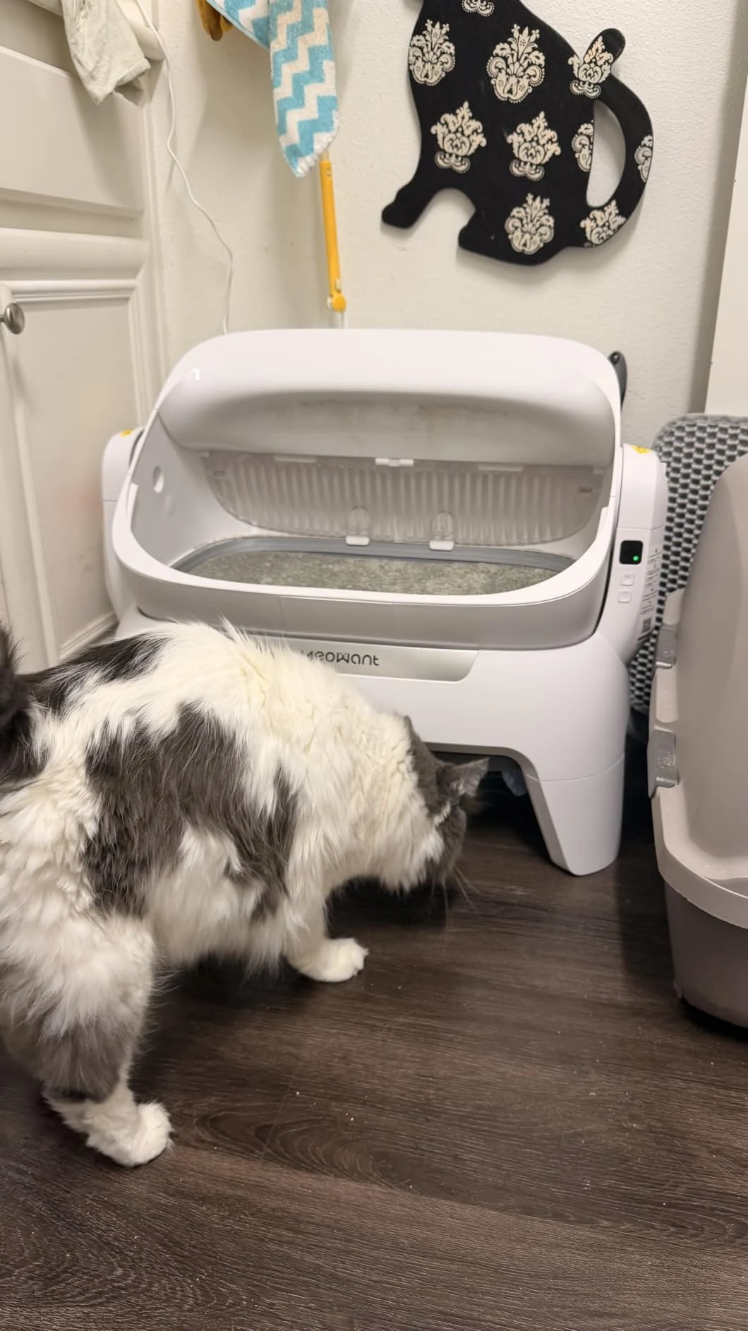 For You and Your Furry Friends Want | Meowant